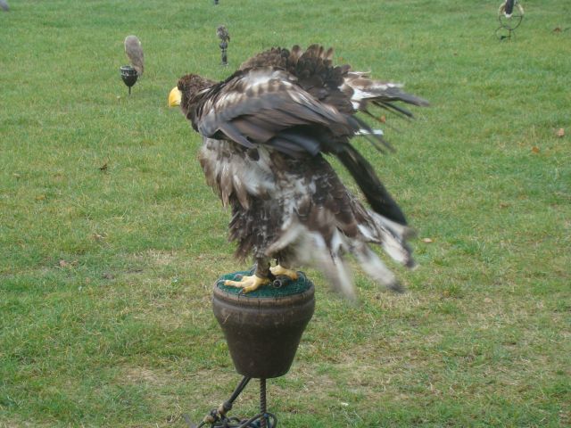 image001
