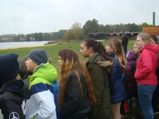 image012