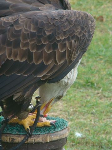 image034