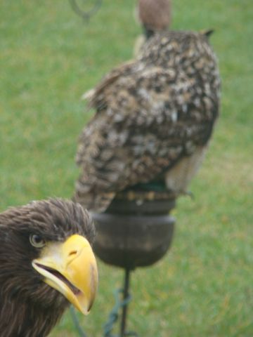 image036