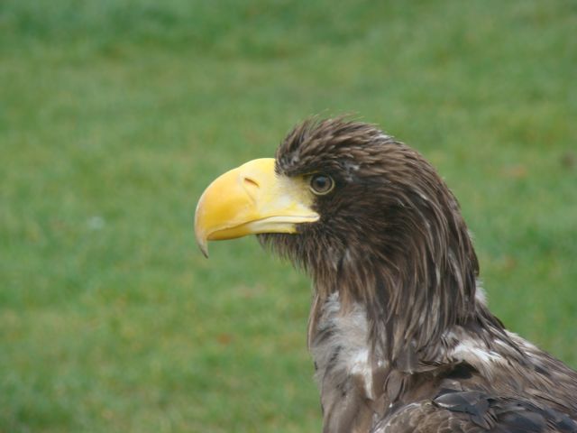 image002
