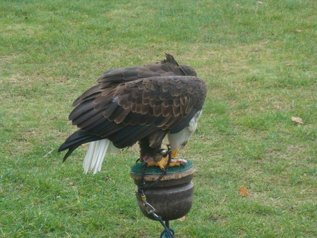 image005