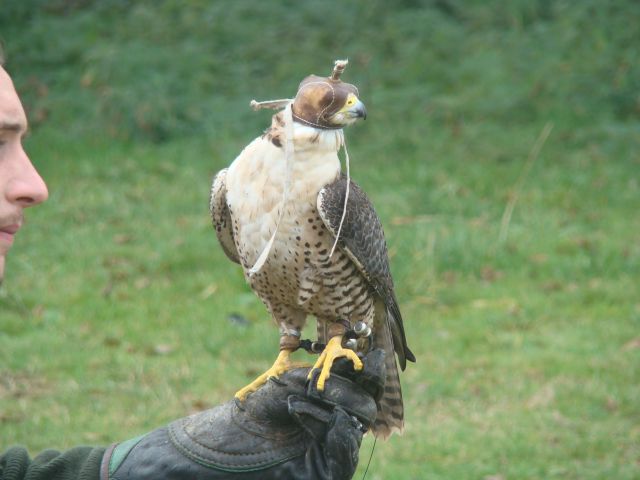 image011
